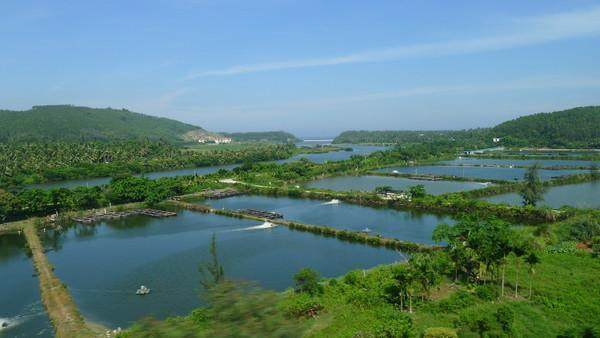 大宝二宝三亚游,三亚三妈游玩攻略