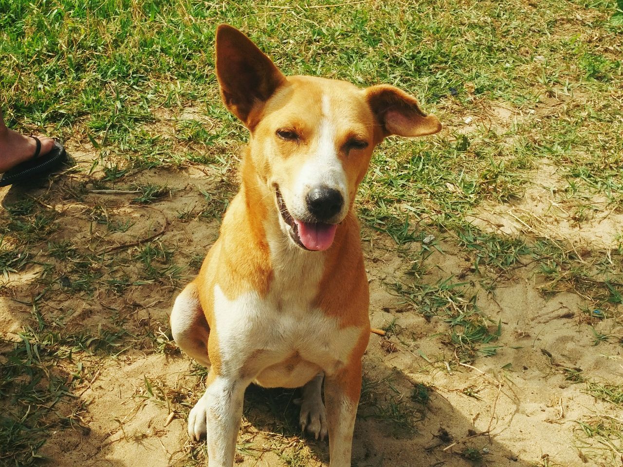 斯里兰卡7月旅游穿衣攻略,斯里兰卡旅游攻略情侣夏季