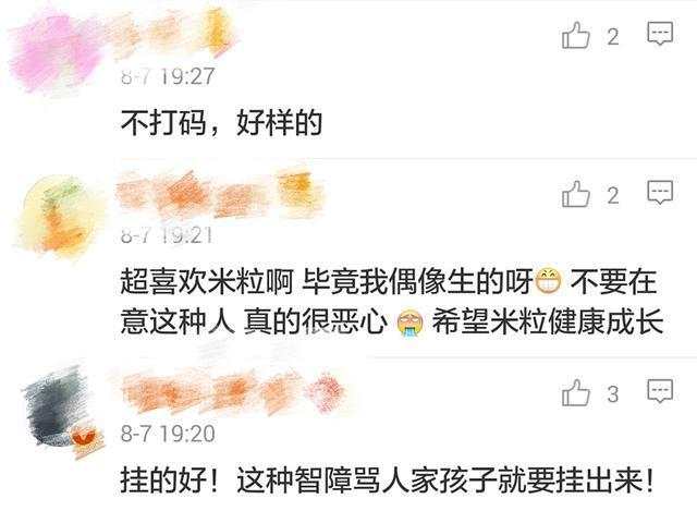 米粒对伊能静的评价,伊能静点评小米粒