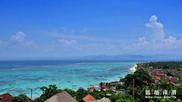 蓝莓评测美国蓝莓,蓝莓评测