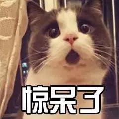 假香水成本,假香水200元以上