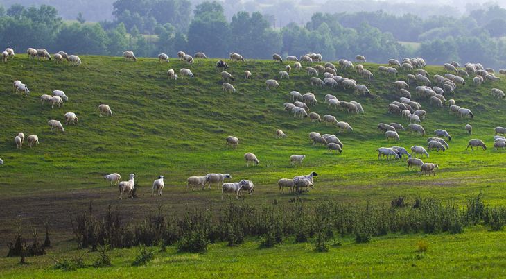 每个阶段的奶粉价格都不一样吗,奶粉价格便宜和贵的区别