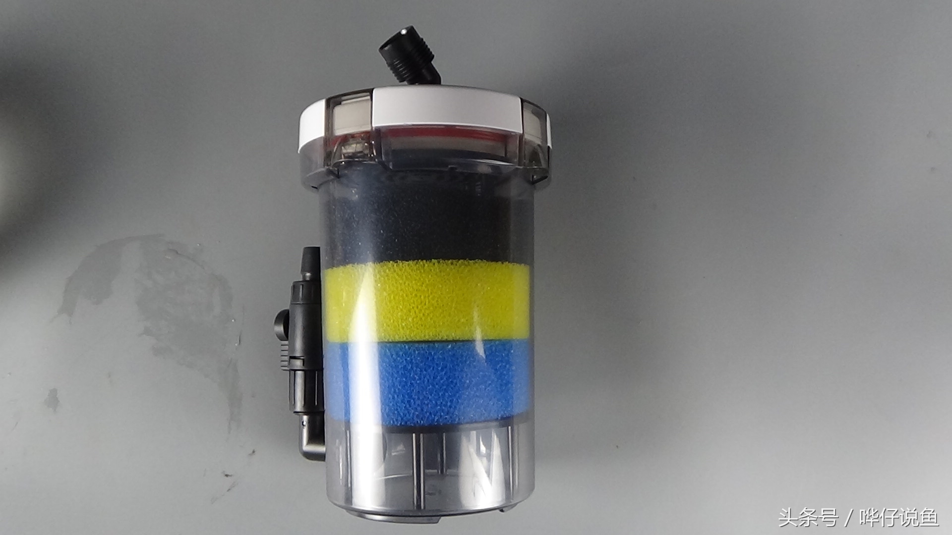 观赏鱼鱼缸过滤最好的办法,鱼缸内置过滤器适合养什么鱼