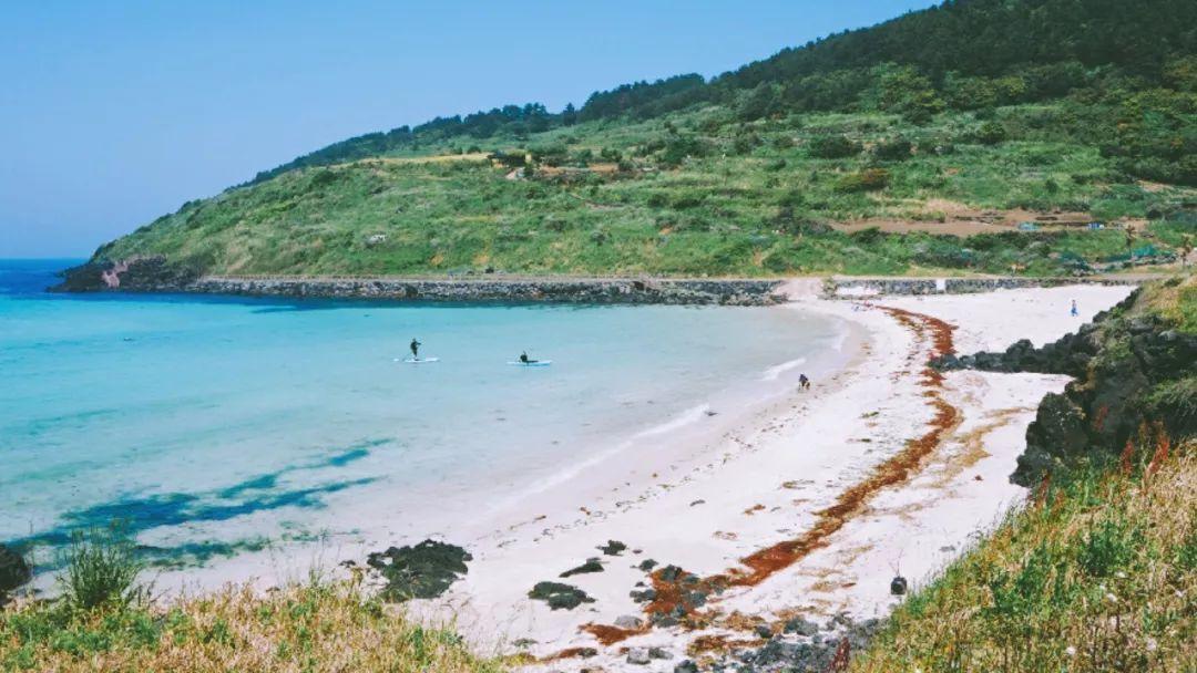 济州岛出游攻略视频大全,济州岛旅行避坑攻略最新