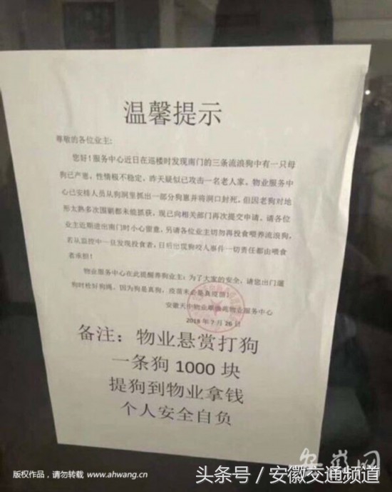 早安徽丨立秋后全省持续高温最高达39度;“疫苗”事件最新进展