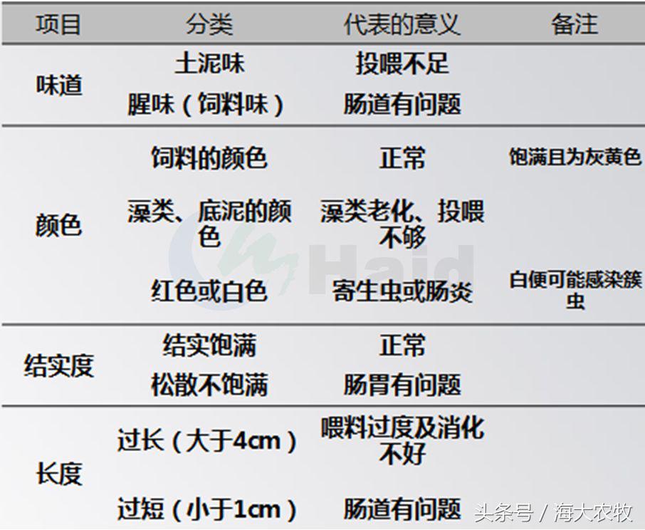 虾的养殖用什么饲料,养虾成本与利润分析表格