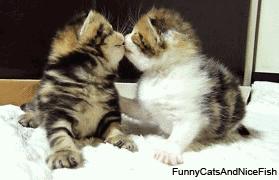 孩子出生证预防本全部丢了怎么办,出生证丢了上户口就必须鉴定吗