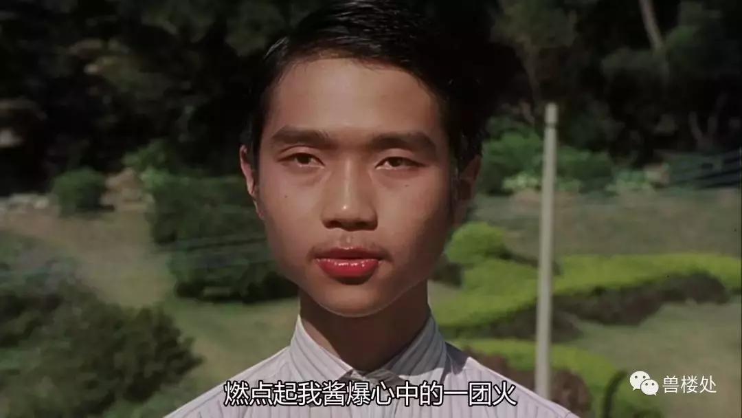 兽爷文章最新消息,兽爷近况