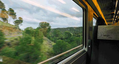 从上海坐高铁到香港需要什么条件,上海可以坐高铁去香港吗