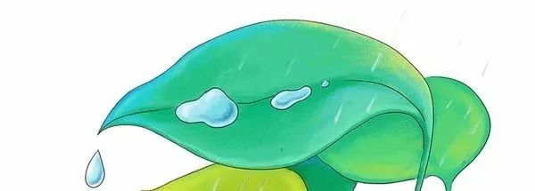 mark谈工作,mark进公司时间