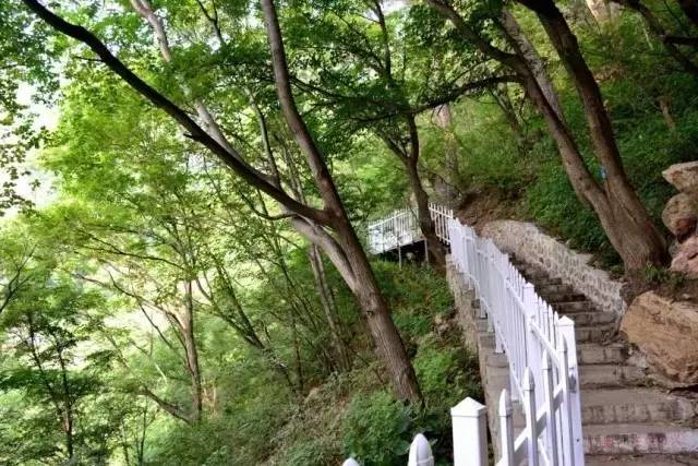 给你7个不得不去兴隆县雾灵山的理由