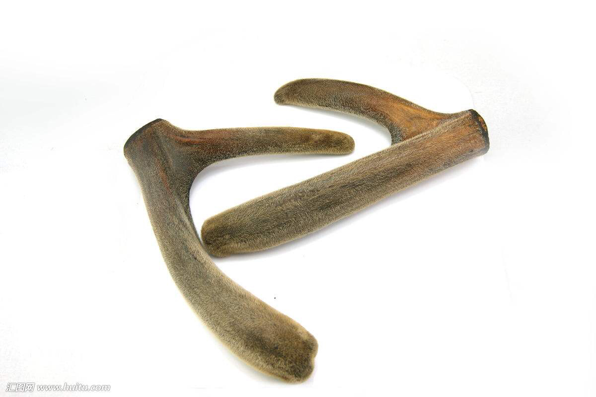 中药学巴戟天,中药鹿茸