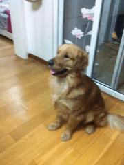 大学，你被宿舍的什么熏怕过，袜臭，烟味还算清淡，这个味真霸气