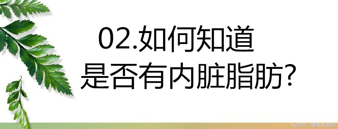 不要再在意自己胖瘦,别再纠结体重秤上的数字啦