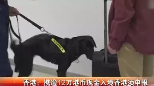 香港代购最新通知,2020年香港代购恢复了吗