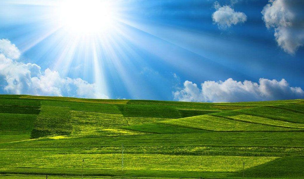 青海最大的价值是生态是谁说的,青海生态的重要性