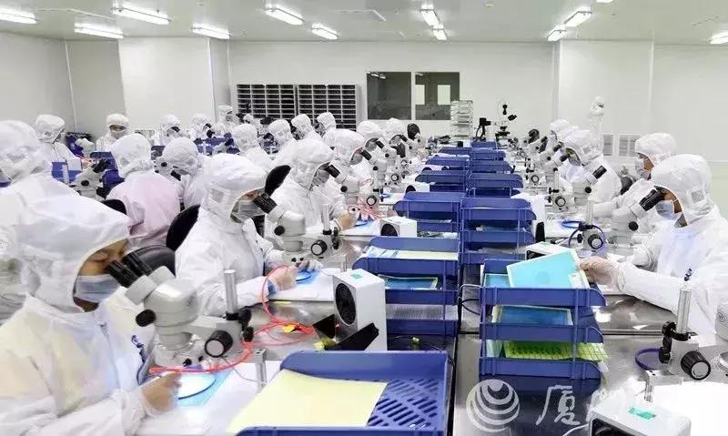 厦门创新成果入围全国十佳,厦门点赞