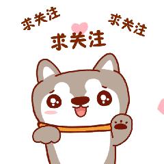 匏器鉴赏,匏器哪种器型好