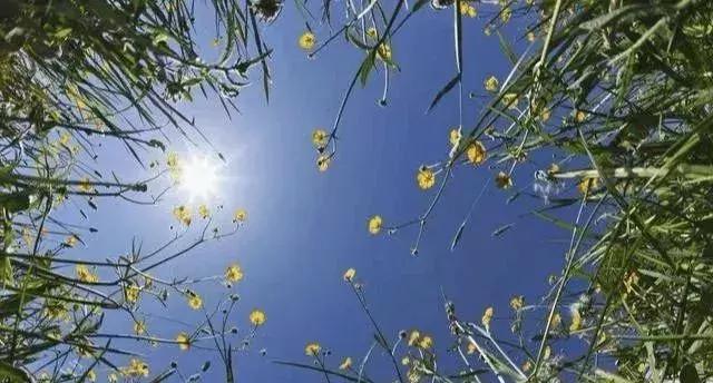 创业白手起家热门免费的创业点子,家庭致富小项目白手起家创业点子