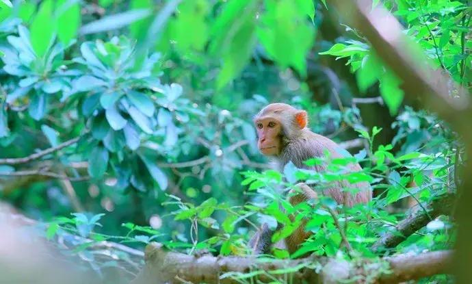 海南陵水香水湾海边别墅推荐,陵水适合亲子度假的别墅