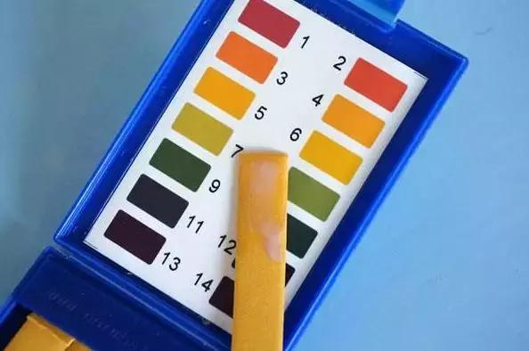 珍珠知识问题解答视频,小火说视频