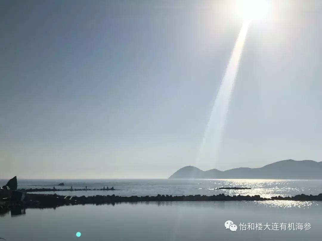 来自一个赌徒的自白,来自一个财税人的自白