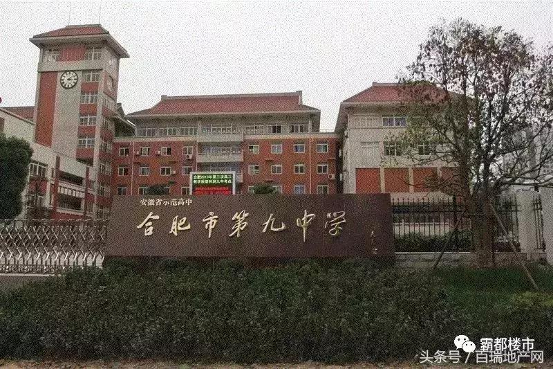 合肥新站区有没有希望引进名校,新站以后会成为国家级高新区吗