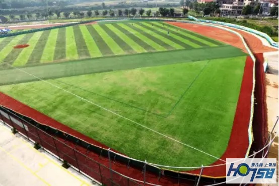 肇庆新区体育馆室内馆,肇庆体育馆效果图