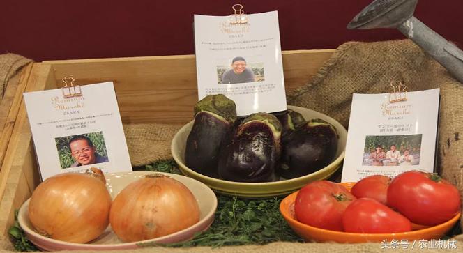 洋马发动机有限公司怎么样,洋马总部地址