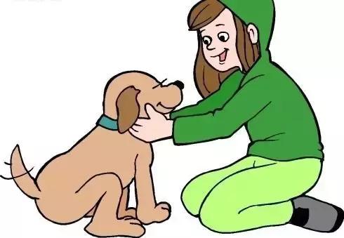 流浪狗伤人报警后怎么处理,流浪狗想咬人被打了违法吗