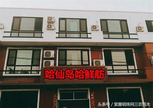 辽宁农家乐旅游攻略,辽宁农家度假村