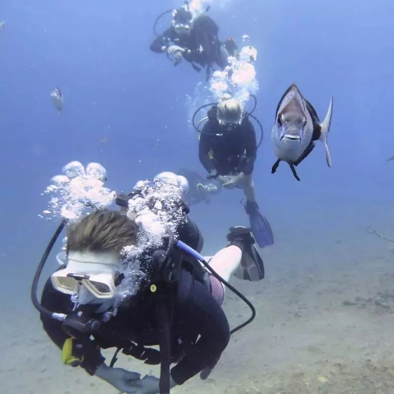 9个技巧，让你轻松搞定夜潜