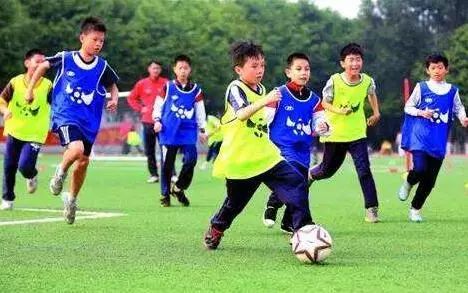 厉害了藁城,厉害了石家庄市高新区