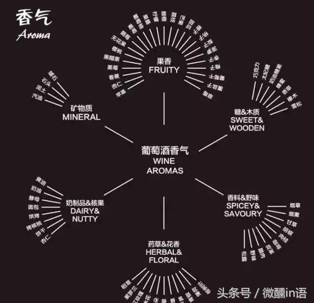 红酒知识大全短视频,红酒知识视频全集