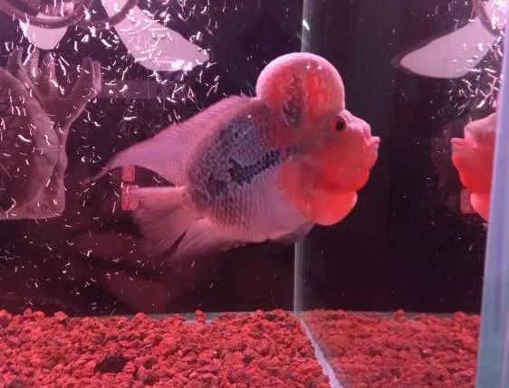 冲动购物一时爽,冲动购物的感悟