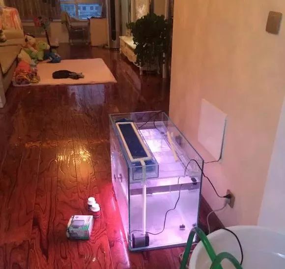 冲动购物一时爽,冲动购物的感悟