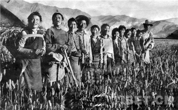 藏族老阿妈一年只点一次酥油灯是为毛主席像点