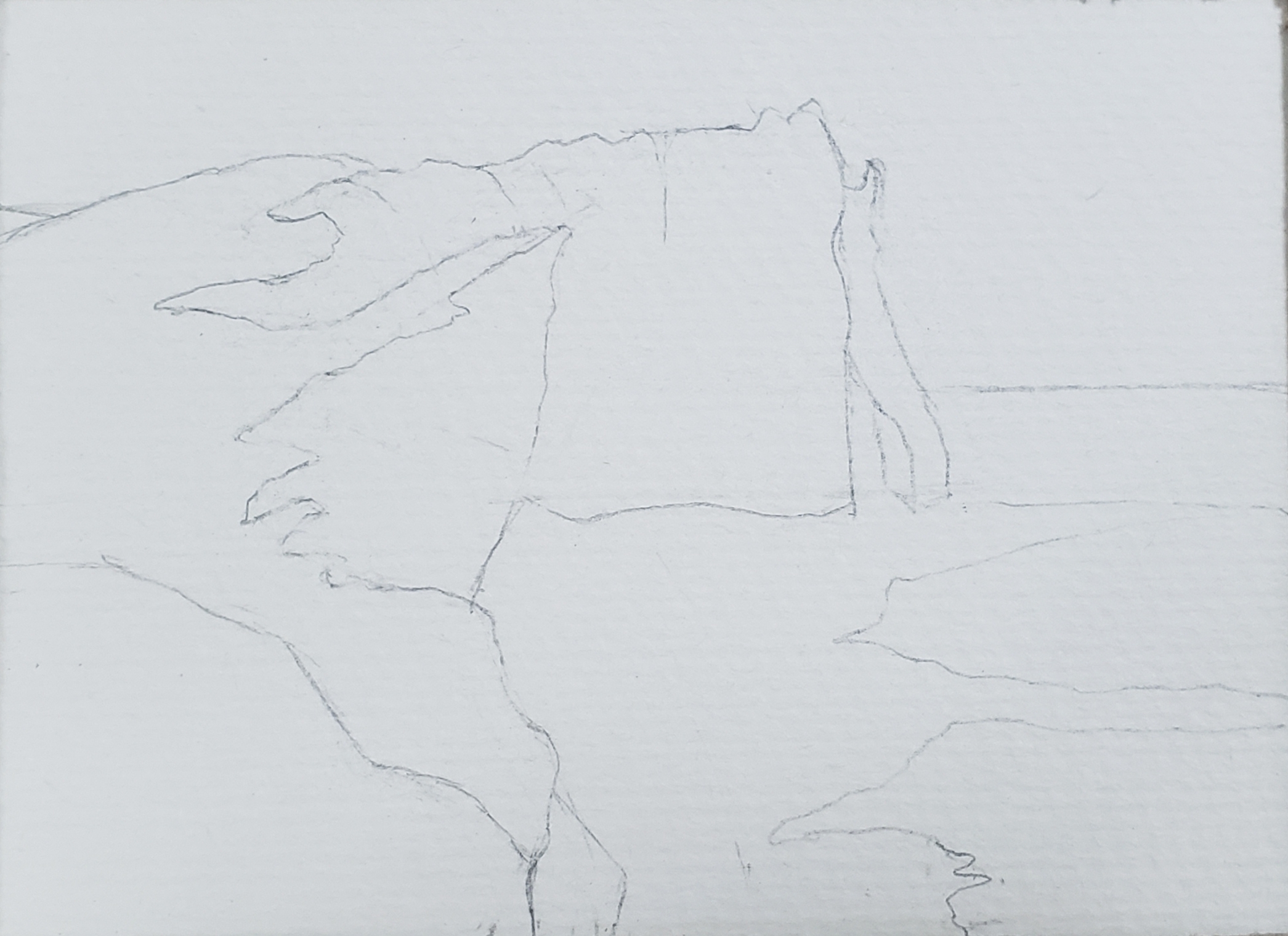 新手a5油画棒教程简单,day5树木画教学