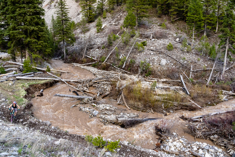 适合拍体育的相机,能否推荐一款适合体育摄影的相机