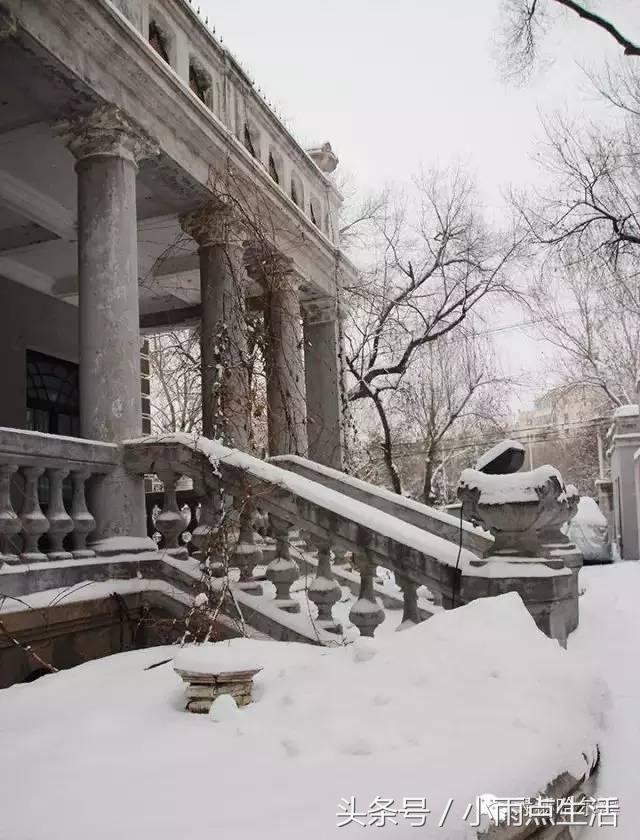 绾㈤湠骞煎効鍥搱灏旀花,鍝堝皵婊ㄧ孩闇炲辜鍎垮洯