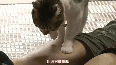 你享受过免费叫醒服务吗,你享受过免费的叫醒服务吗