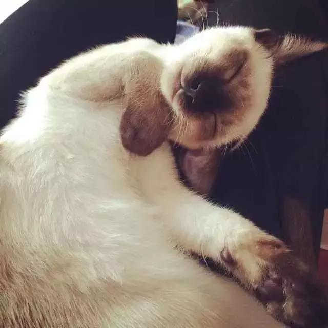 你享受过免费叫醒服务吗,你享受过免费的叫醒服务吗