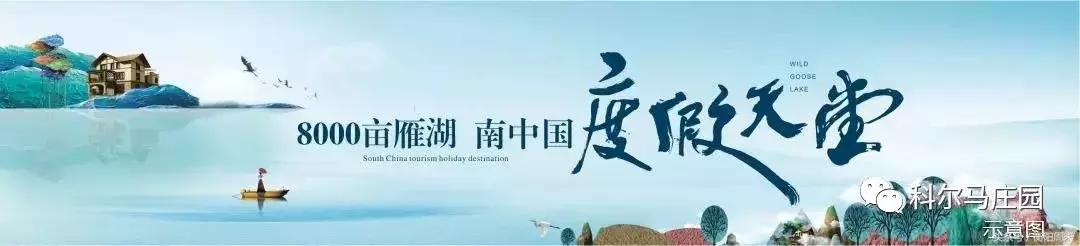 电梯惊魂小孩子,商场电梯惊魂