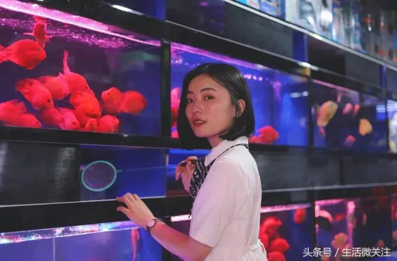 深圳拍照圣地推荐,拍照圣地深圳风景