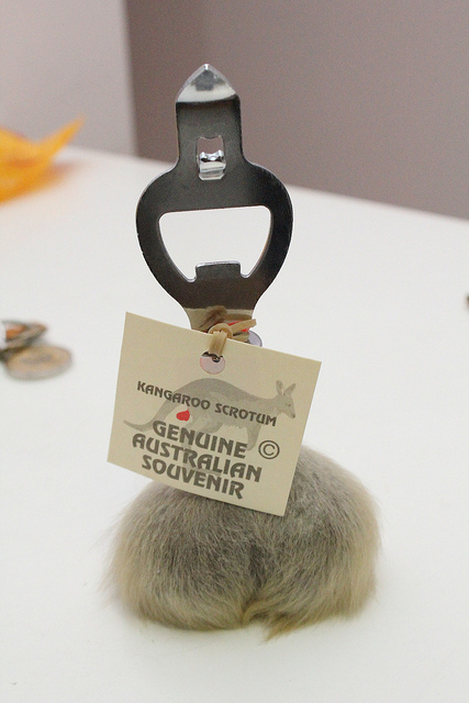 冲浪潜水跳伞旅行,冲浪浮潜看海豚