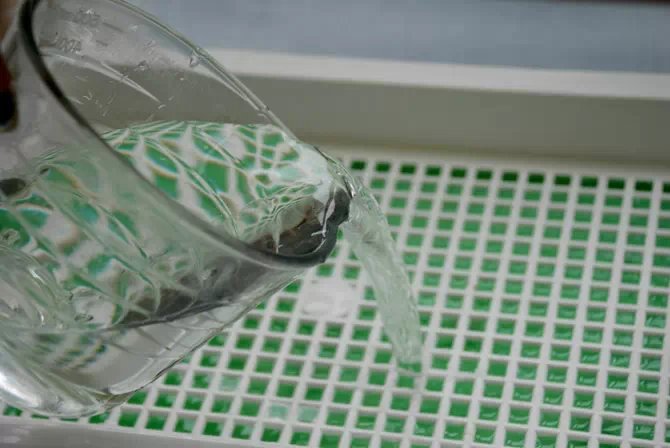 阳台种菜教程书,在家阳台种菜一年四季能种的菜