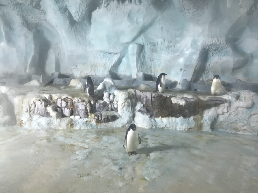 这个夏天带上ta来场浪漫的旅行,带上心爱的ta来一次浪漫之旅