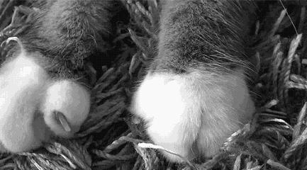 仙女们需要的轻薄防晒霜list来了!夏日防晒就用这些!