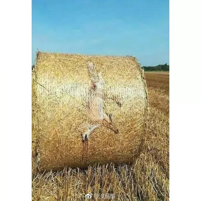 纳粹集中营1945,1945年德国集中营