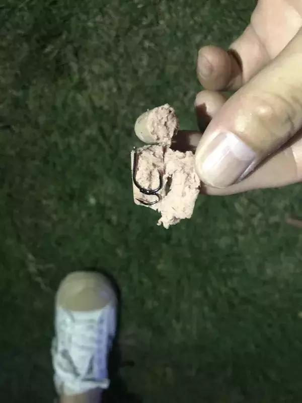 狗咬人被打死狗主人要求赔偿,藏獒先生医疗费谁来付